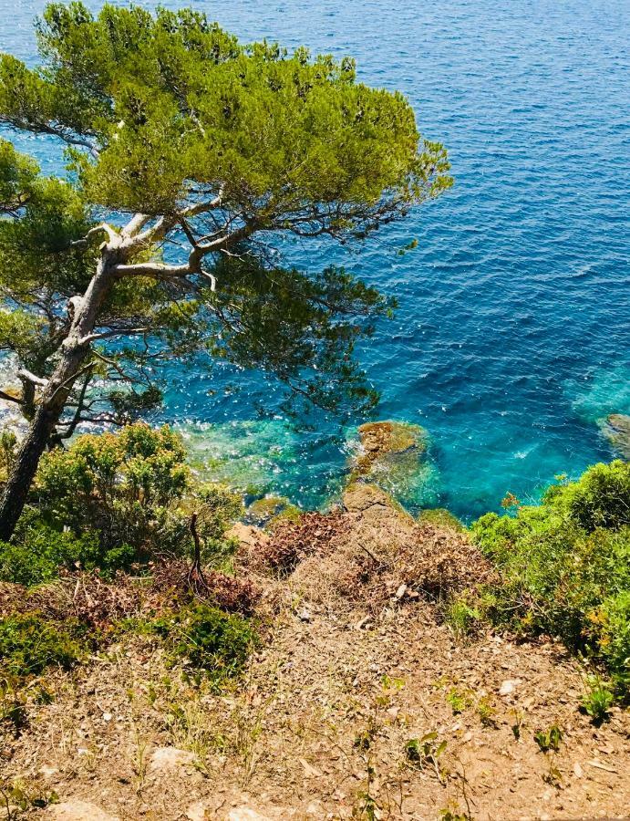 Апартаменти Mazet « Domaine De La Pinede » Ле-Лаванду Екстер'єр фото